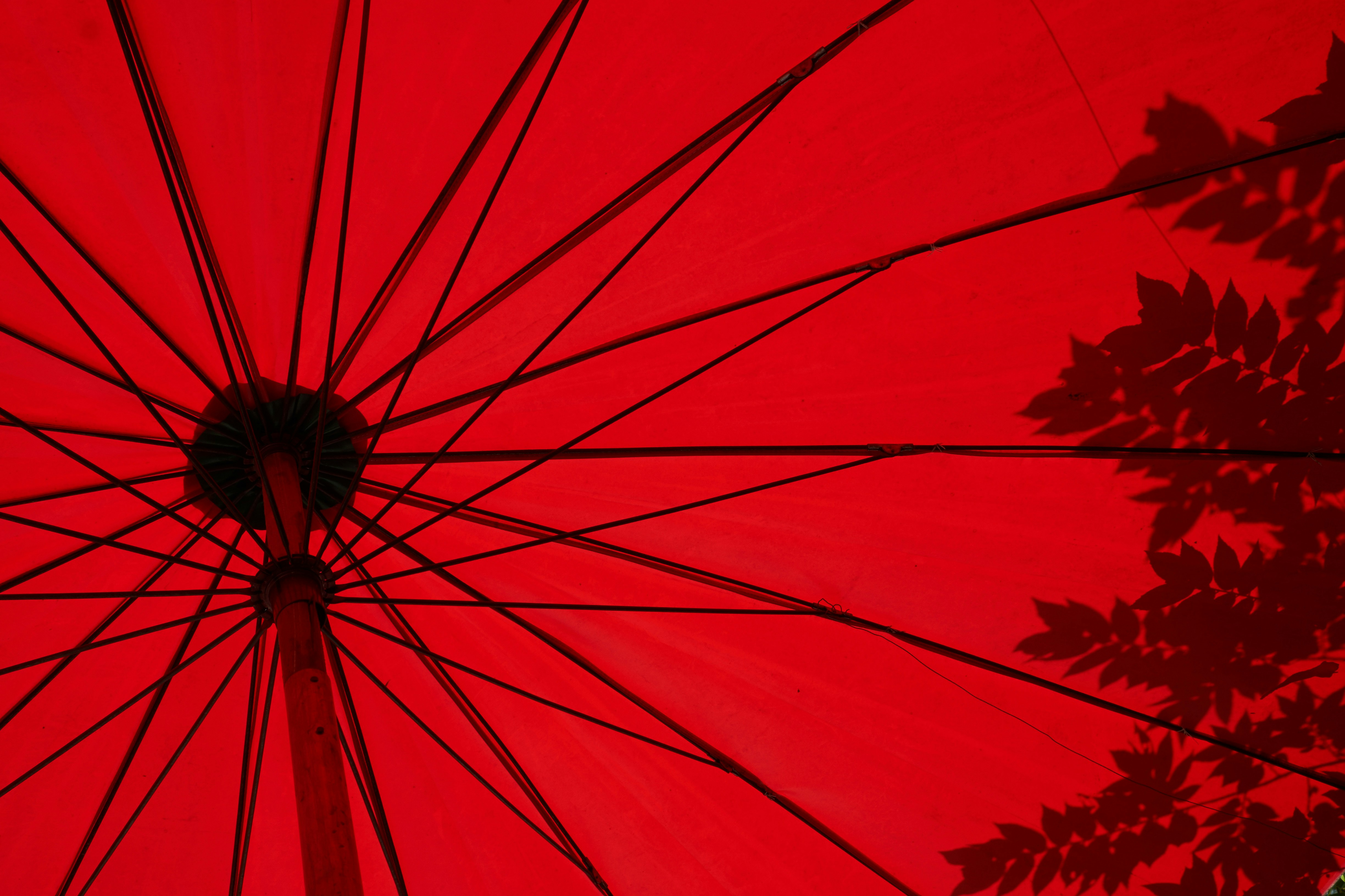 Red umbrella - sex workers' rights