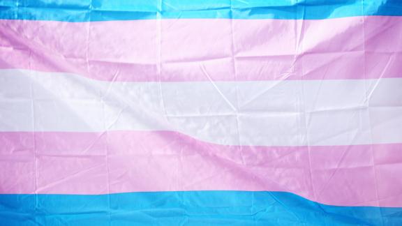 trans rights